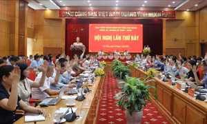 Sáu tháng cuối năm 2026 và những con số ấn tượng