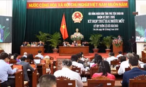 Cam kết thực hiện có hiệu quả các giải pháp sau chất vấn