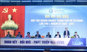 Hiệp hội Doanh nghiệp Thành phố Hồ Chí Minh mở rộng liên kết các doanh nghiệp