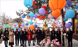 Xuân Bính Ngọ 2026: Ấm tình quê hương giữa trời Âu giá lạnh