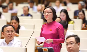 Nâng cao hiệu quả, hiệu lực công tác phòng, chống rửa tiền