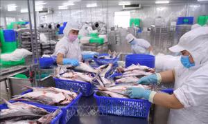 Có trên 1.700 chuỗi cung cấp thực phẩm nông, lâm, thủy sản an toàn