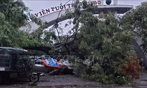 Khuyến cáo người dân đừng chủ quan nghĩ bão đã đi qua, Hà Nội không còn nguy hiểm nữa