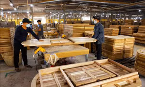 Sửa đổi quy định Hệ thống bảo đảm gỗ hợp pháp Việt Nam