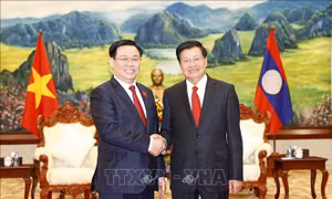 Chủ tịch Quốc hội Vương Đình Huệ chào xã giao Tổng Bí thư, Chủ tịch nước Lào 
