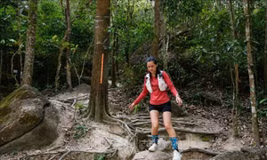 Du lịch nghỉ lễ: Sức hút từ mạng xã hội và rủi ro tiềm ẩn khi mua tour tự phát
