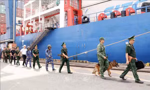 Hiện đại hoá ngành hải quan - Bài 1: Ứng dụng công nghệ quản lý, giám sát