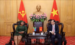 Tăng cường hợp tác đào tạo cán bộ lãnh đạo quản lý giữa Việt Nam và Nam Phi