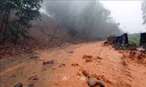 Mưa lũ gây ra nhiều thiệt hại nghiêm trọng tại khu vực miền Trung