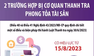 Hai trường hợp bị cơ quan thanh tra phong tỏa tài sản từ 15/8/2023