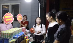 Bồi dưỡng cán bộ Hội Nông dân các cấp và nông dân sản xuất kinh doanh giỏi