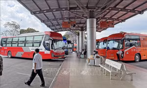 Lâm Đồng chưa thống nhất cho đơn vị vận tải tăng giá cước