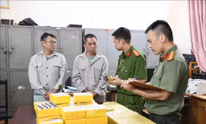 Triệt phá đường dây kinh doanh thực phẩm đa cấp xuyên quốc gia quy mô lớn