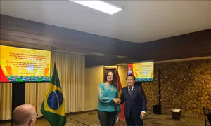 Gặp gỡ mừng Xuân Ất Tỵ và kỷ niệm 95 năm thành lập Đảng tại Brazil