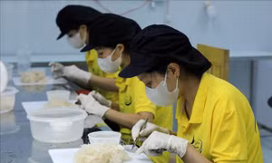 Luật Phát triển doanh nghiệp nhỏ và vừa: Chuyển đổi tư duy từ 'hỗ trợ' sang 'kiến tạo'