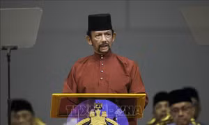 Brunei đề cao vai trò quan trọng của các nước đối tác với ASEAN