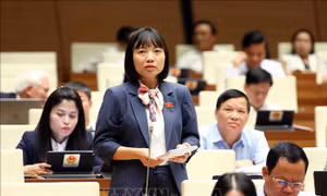 Đảm bảo an toàn hoạt động trải nghiệm của học sinh và quản lý giá sách giáo khoa