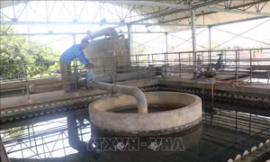 Quy hoạch tài nguyên nước thời kỳ 2021 - 2030: Ưu tiên bảo đảm cấp nước cho sinh hoạt