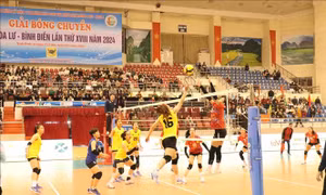 Khai mạc giải Bóng chuyền Cúp Hoa Lư - Bình Điền lần thứ 18