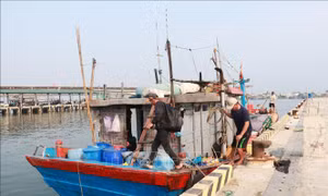 Ngư dân nỗ lực vươn khơi trước khó khăn 'kép'