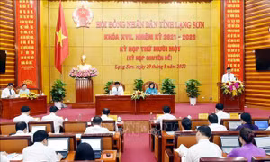 Lạng Sơn: Thông qua Nghị quyết về đầu tư, cải tạo cơ sở y tế cấp huyện, xã