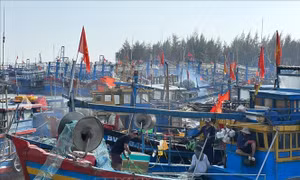 Bà Rịa-Vũng Tàu triển khai nhiều giải pháp phòng chống IUU