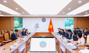 Bộ Tài chính và WB xây dựng danh mục dự án vay vốn giai đoạn 2026 - 2030