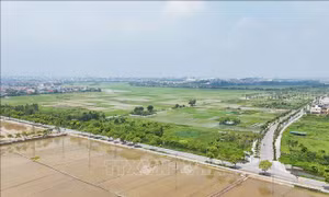 Đưa 'xã, phường xã hội chủ nghĩa' vào từng vấn đề thiết thực của người dân