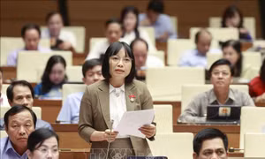 Cử tri đánh giá cao sự sâu sát của các đại biểu Quốc hội