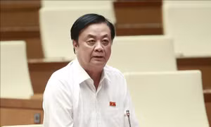 Kỳ họp thứ 6, Quốc hội khóa XV: Giải quyết 'áp lực kép' trong xây dựng nông thôn mới 