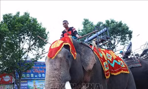 Hàng nghìn người tham gia Lễ hội đường phố huyện Krông Pắc