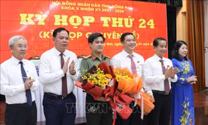 Phê chuẩn kết quả bầu, miễn nhiệm chức vụ Phó Chủ tịch UBND tỉnh Đồng Nai