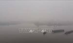 Sáng 19/1, Đồng Nai xuất hiện sương mù dày đặc