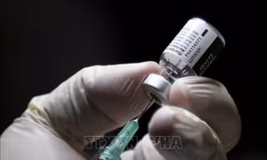 Khả năng miễn dịch tự nhiên từ mắc COVID-19 có hiệu quả tương tự tiêm vaccine
