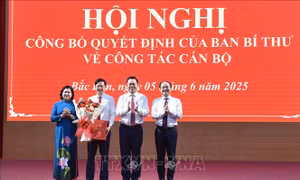 Công bố quyết định chuẩn y Phó Bí thư Tỉnh ủy Bắc Kạn