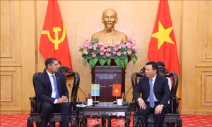Thúc đẩy hợp tác Việt Nam - Thụy Điển trong nghiên cứu tư vấn chính sách về hành chính, quản trị công