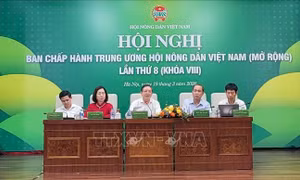 Xây dựng Hội Nông dân đáp ứng cầu đổi mới tổ chức, hoạt động trong bối cảnh tinh gọn hệ thống