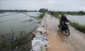Nhiều sông tại Hà Nội vượt báo động III, 338 hộ dân bị cô lập