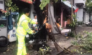 Nhanh chóng thống kê thiệt hại do bão Noru để có biện pháp hỗ trợ kịp thời