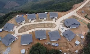 Xuân đến sớm trên các bản làng tái định cư sau lũ