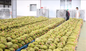 Sự kiện kinh tế Việt Nam nổi bật tuần qua