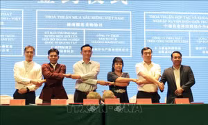 Thúc đẩy hợp tác thương mại giữa Việt Nam và tỉnh Quảng Tây (Trung Quốc)