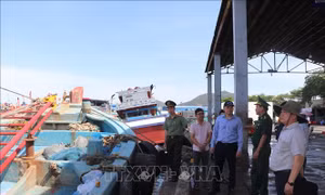  TP Hồ Chí Minh siết chặt quản lý tàu cá không đủ điều kiện ra khơi