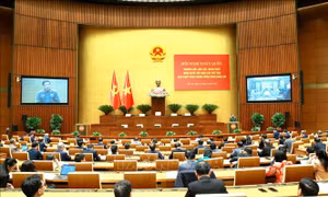 Thường xuyên kiểm tra, giám sát, đôn đốc để việc thực hiện Nghị quyết đạt hiệu quả cao