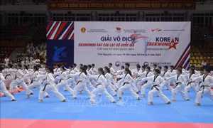Khai mạc Giải vô địch Taekwondo các câu lạc bộ quốc gia - Cúp Đại sứ Hàn Quốc năm 2025