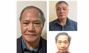 Đề nghị truy tố cựu Thứ trưởng Bộ Nông nghiệp và Phát triển nông thôn và 22 bị can