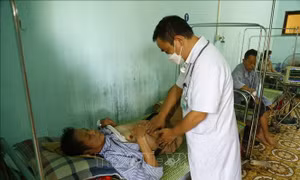Tuyên Quang ghi nhận 241 ca mắc sốt xuất huyết từ 21/7 đến nay