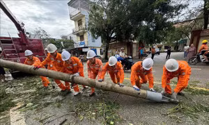Ảnh hưởng bão số 10: Hơn 2,67 triệu khách hàng có điện trở lại