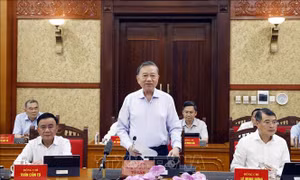 Tổng Bí thư, Chủ tịch nước chủ trì phiên họp Ban Chỉ đạo Trung ương về phát triển khoa học, công nghệ, đổi mới sáng tạo và chuyển đổi số