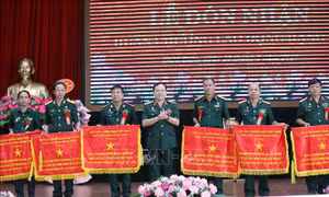 Cựu chiến binh tỉnh Điện Biên giúp nhau xóa đói giảm nghèo, phát triển kinh tế 